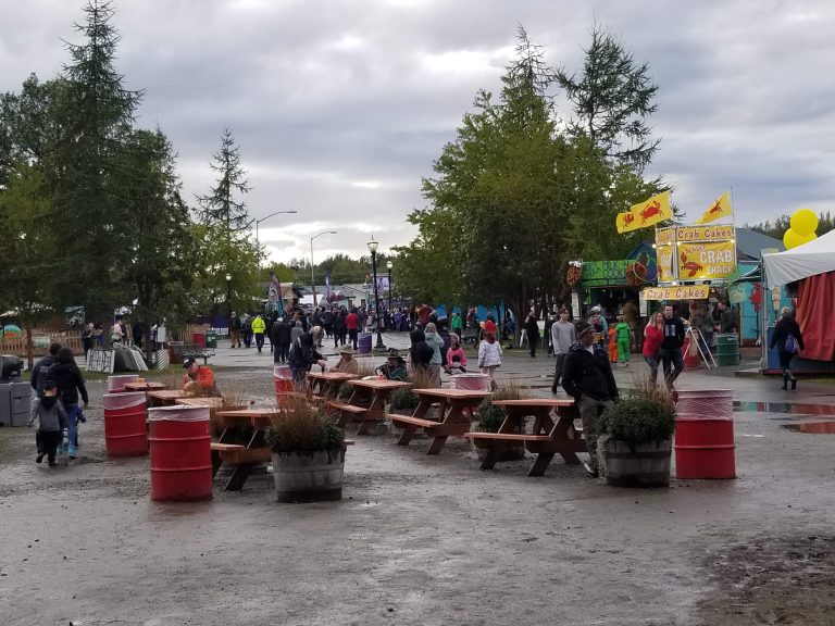 a group of people at a fair